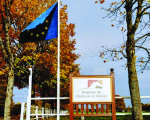 Domaine du Haras de la Chaîne - Le domaine